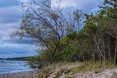 食品行业舆情一周排行榜(3月30日—4月05日)