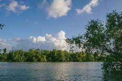 食品行业舆情一周排行榜(3月30日—4月05日)